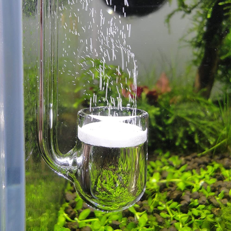 Aquarium Liquid Carbon - D0AD Diffuseur CO2 en verre pour