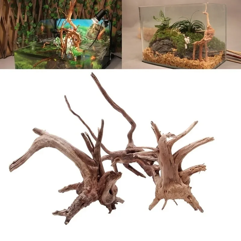 Aquarium Plant Holder - Tronc d'Arbre Naturel en Bois Flotté