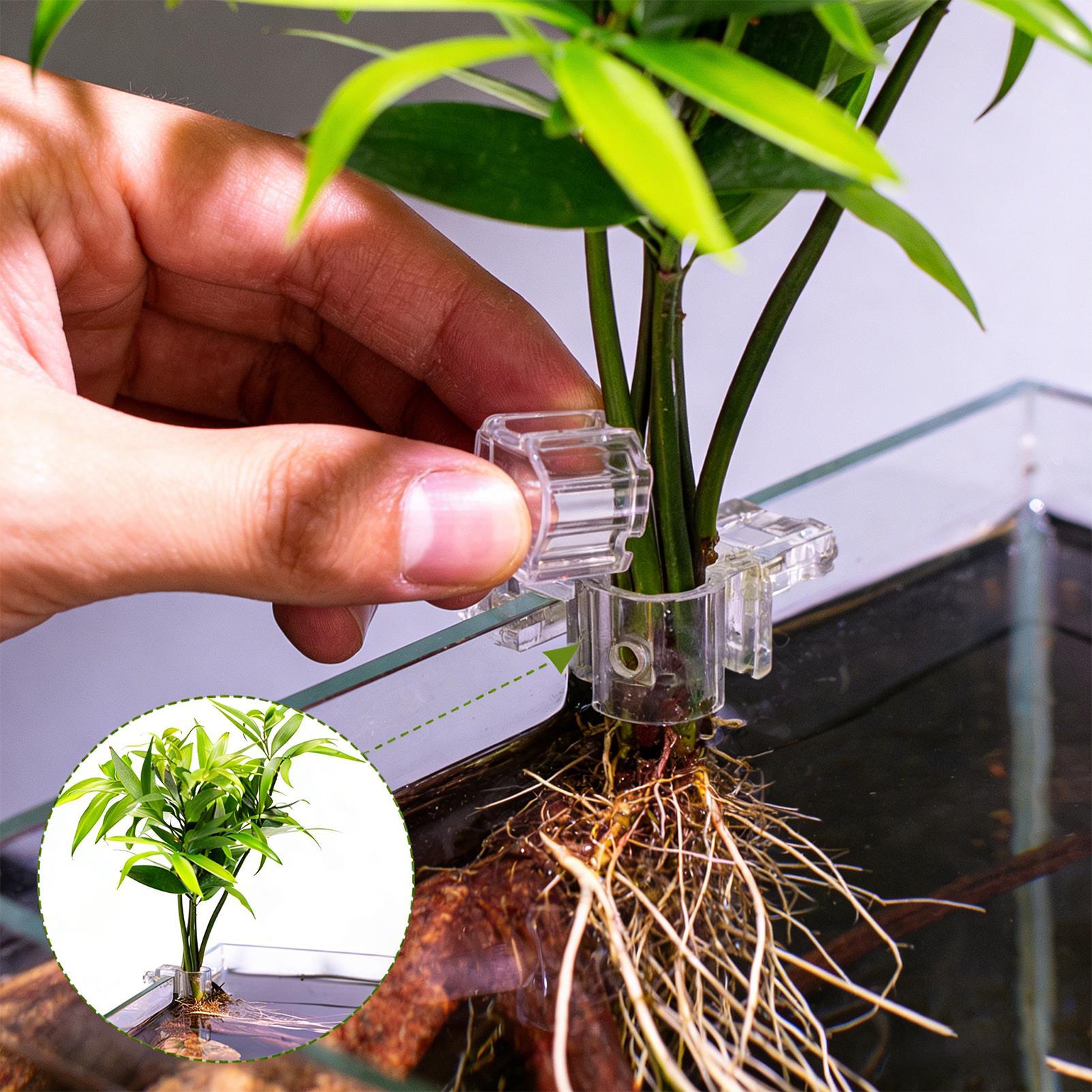 Aquarium Plant Holder - 6 supports de plantes pour aquarium,