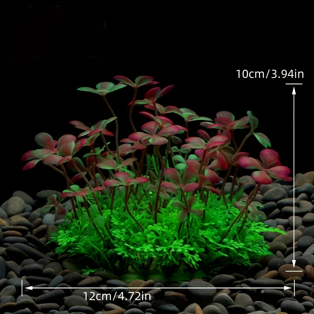 Décoration d'aquarium, plantes - Aquarium Plant Holder avis et prix