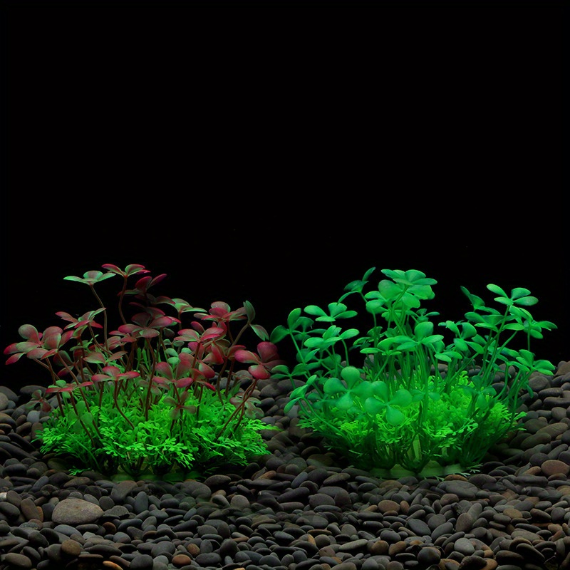 Décoration d'aquarium, plantes - Aquarium Plant Holder avis et prix