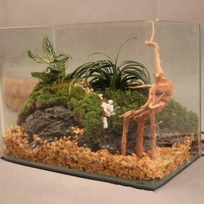 Tronc d'Arbre Naturel en Bois  - Aquarium Plant Holder avis et prix