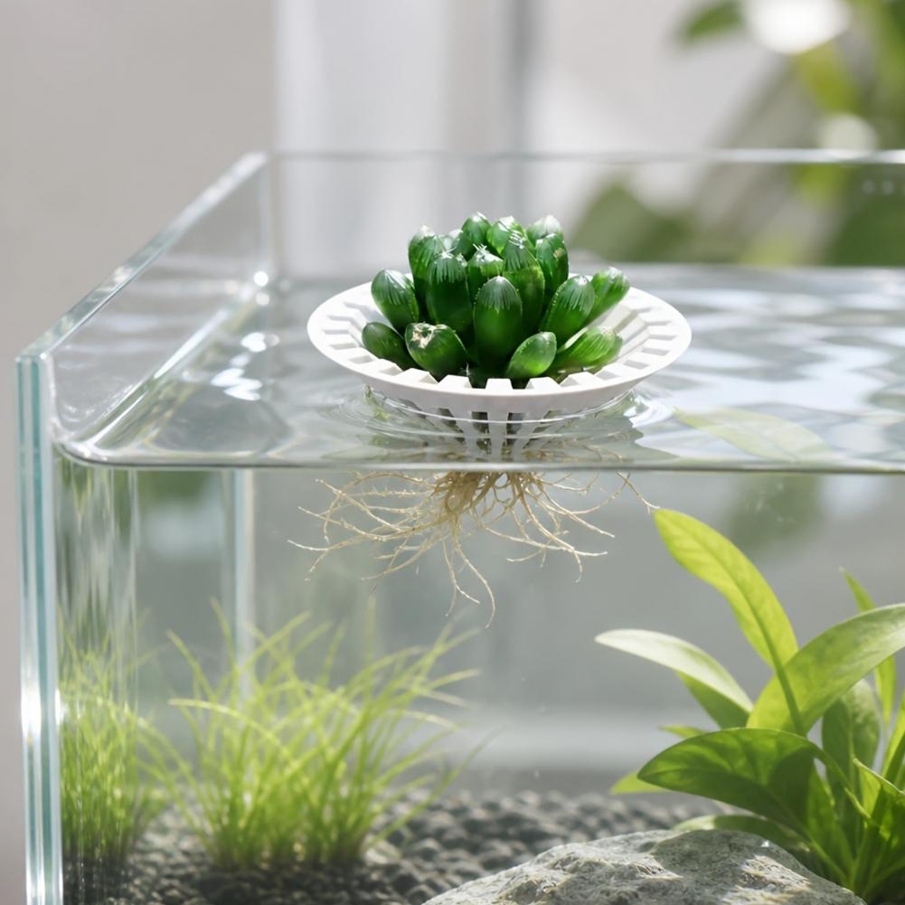 Pot hydroponique pour aquarium - Aquarium Plant Holder avis et prix