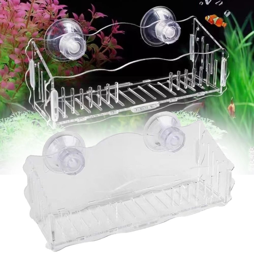 Pot pour plantes aquatiques en - Plant Aquarium Pot avis et prix