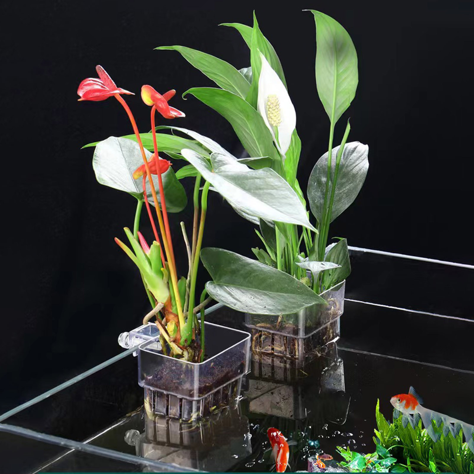 Support de plantes en acryliqu - Aquarium Plant Holder avis et prix