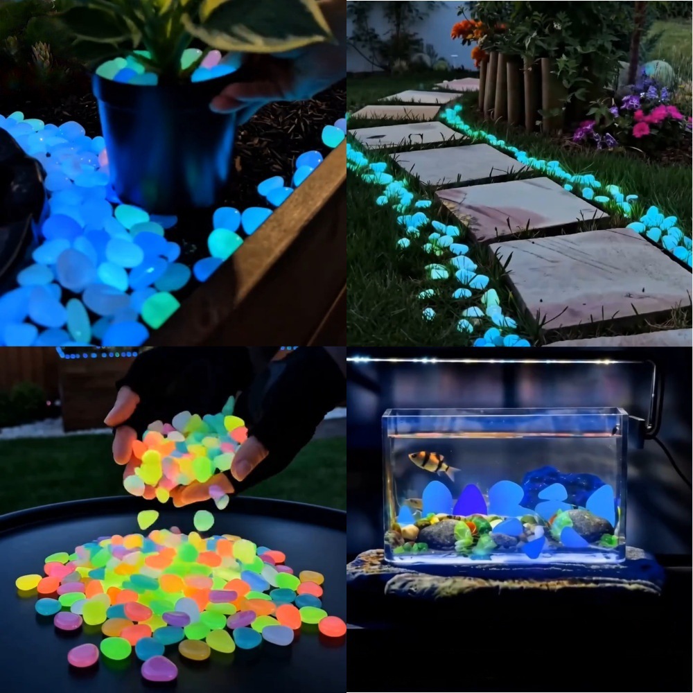 Galets lumineux colorés qui br - Planted Tank avis et prix
