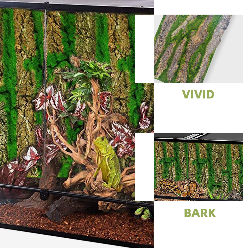 Panneau de fond 3D pour aquari - Aquarium Moss avis et prix
