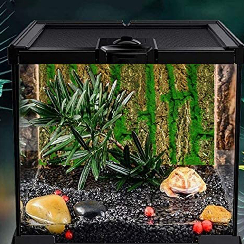 Panneau de fond 3D pour aquari - Aquarium Moss avis et prix