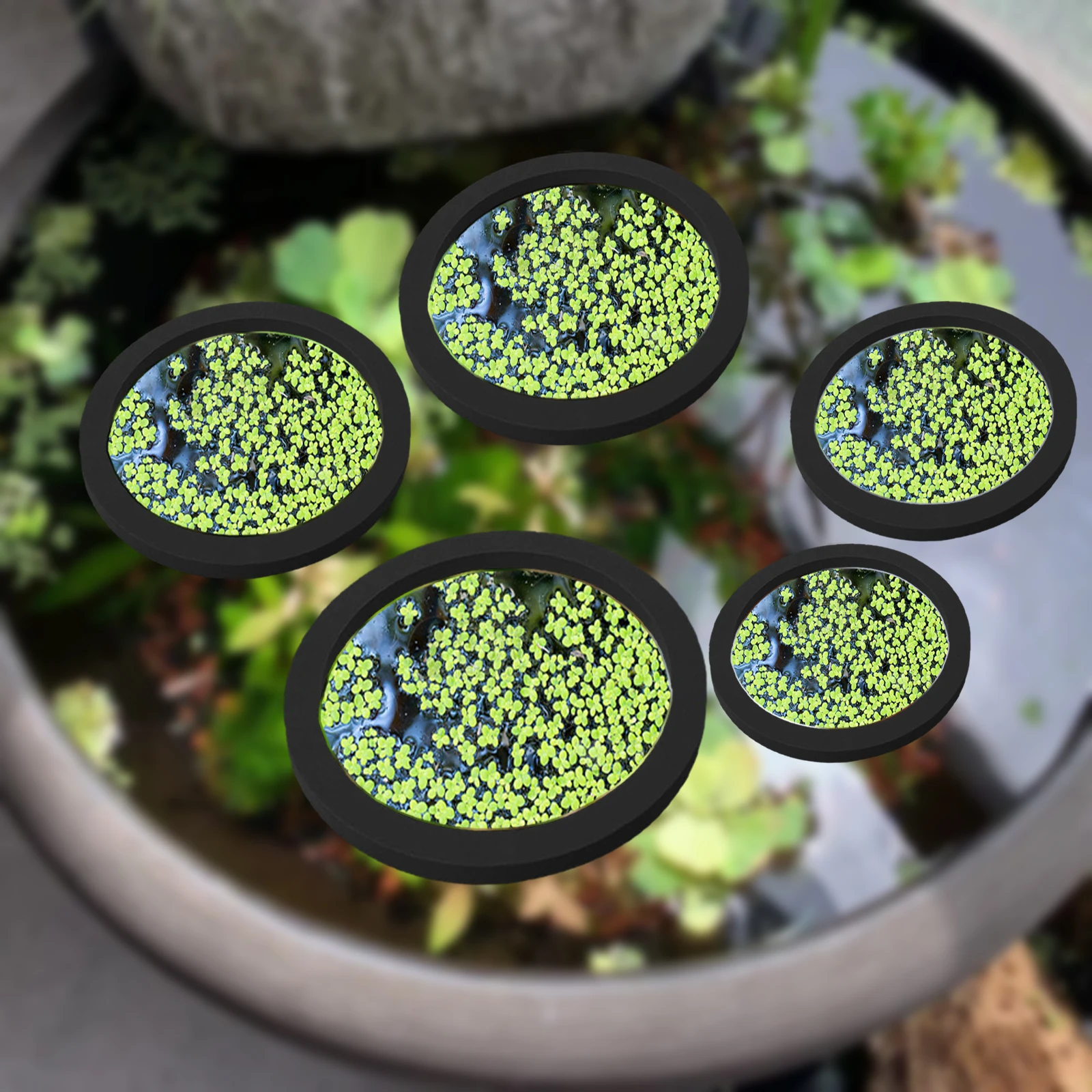 Anneaux d'Alimentation pour Aq - Planted Tank avis et prix