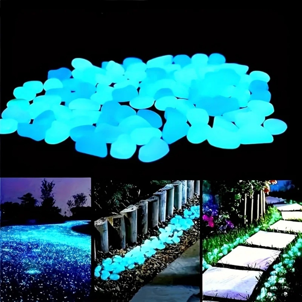 100 pièces qui brillent dans l - Plant Aquarium Pot avis et prix