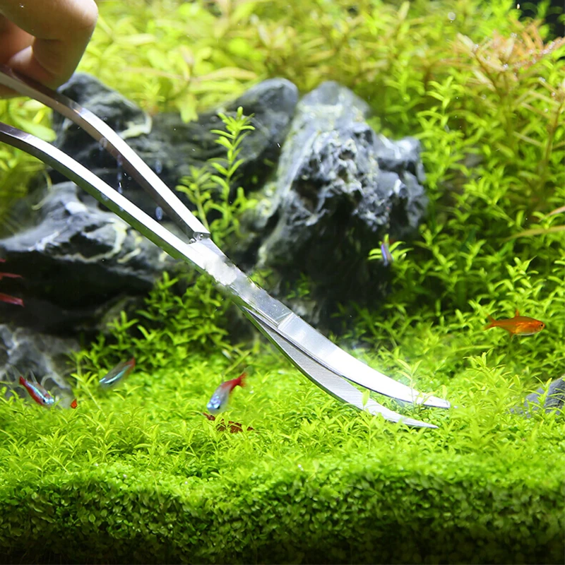 Outils de ciseaux d'aquarium,  - Aquarium Plant Holder avis et prix