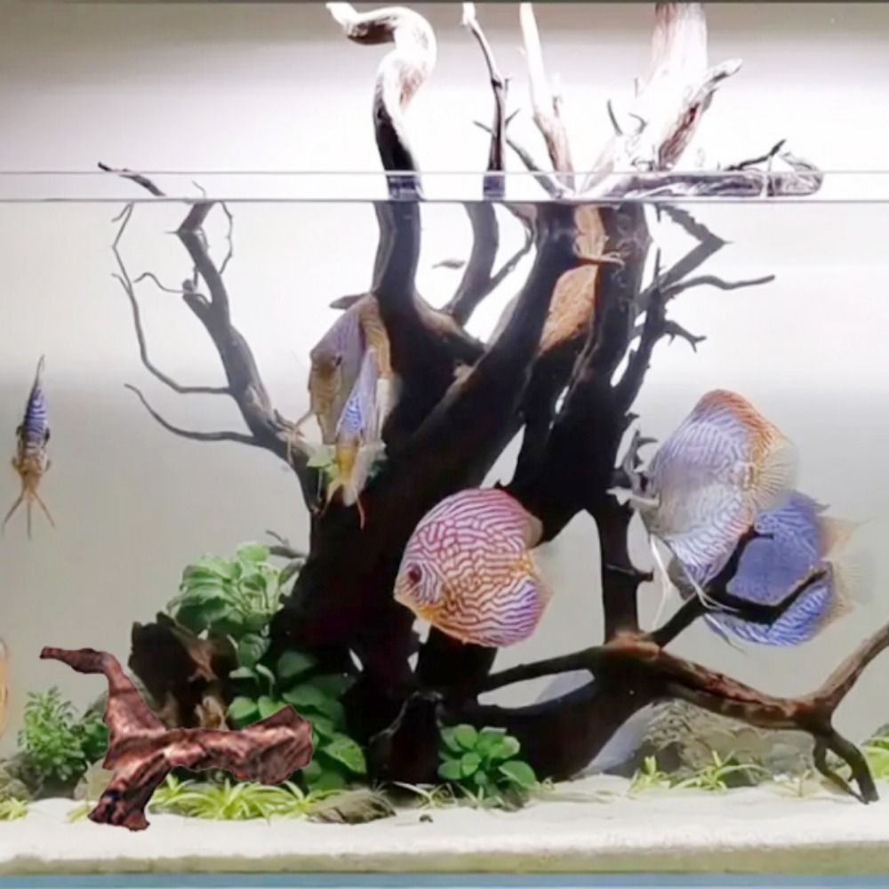 Tronc de bois flotté naturel e - Aquarium Plant Substrate avis et prix