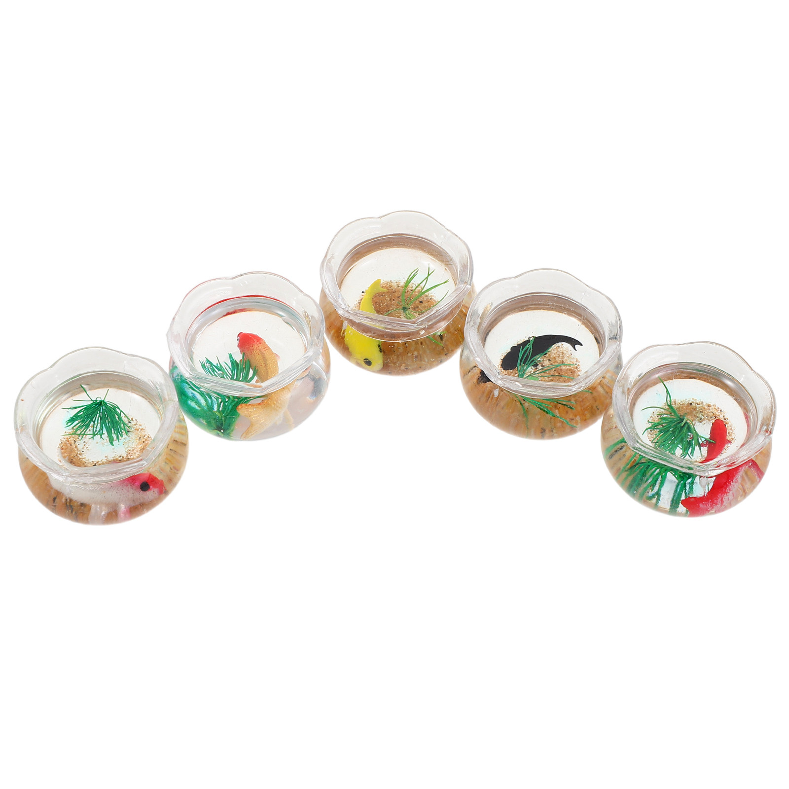 5 pièces, mini-bassin à poisso - Planted Tank avis et prix